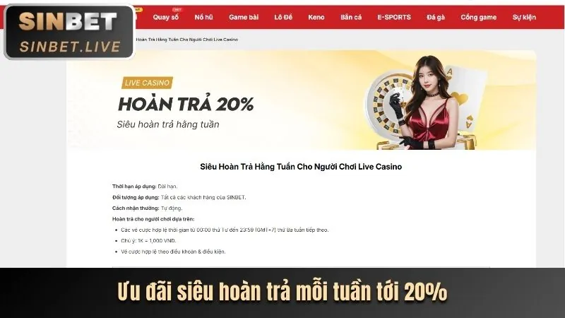 Hình ảnh đại diện cho đối tác Affiliate